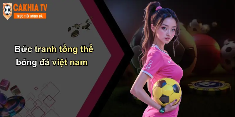 Bức tranh tổng thể bóng đá việt nam