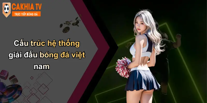 Cấu trúc hệ thống giải đấu bóng đá việt nam