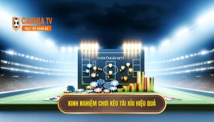 Kinh Nghiệm Chơi Kèo Tài Xỉu Hiệu Quả