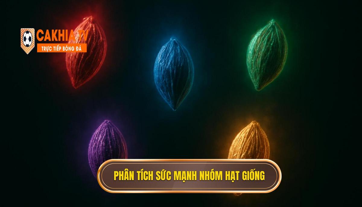 Phân Tích Sức Mạnh Các Nhóm Hạt Giống Hàng đầu